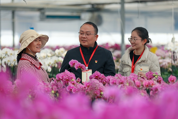 1767757592697058328.jpeg 3.jpeg