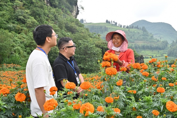 1791807327687025731.jpg 麻栗坡县.jpg