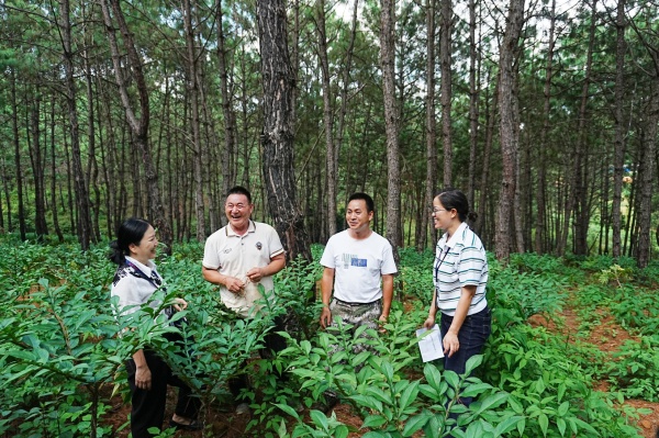 1791807336526011443.jpg 丘北县.jpg
