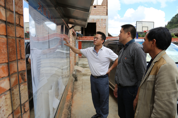 到大栗树查看公示栏情况