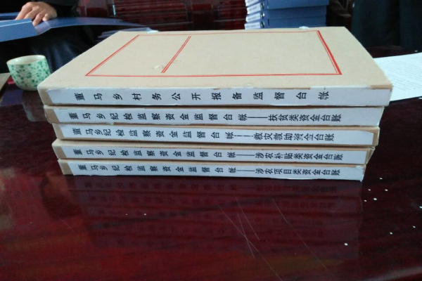 董马乡建立的村务公开台帐及资金监督台帐