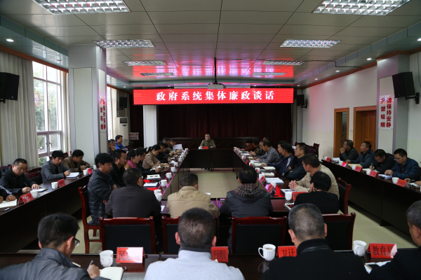 20171201政府系统集体廉政谈话 (21)