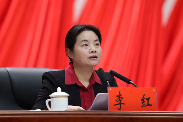 州委常委、县委书记讲话