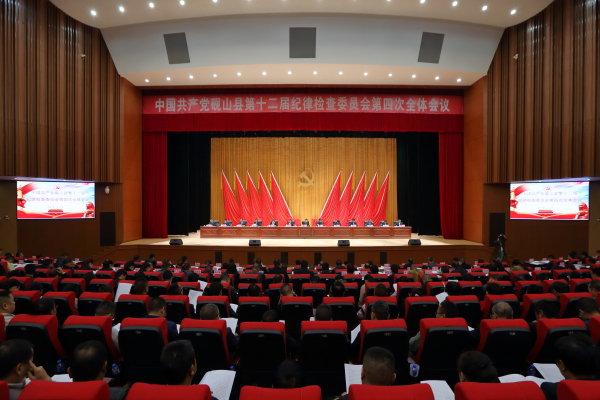 《会议现场》杨道能（摄） (2)